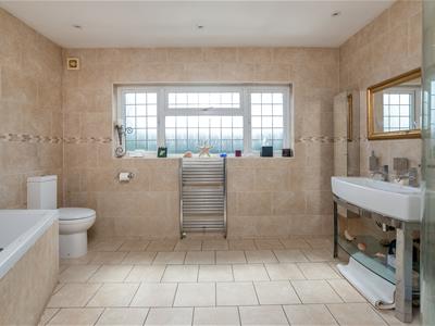 Picture 15